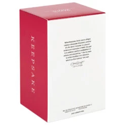 Hallmark Christmas Angels Good Cheer Ornament -Stuffed Animals Shop Angel in Red Flowers Dress Keepsake Ornament 2499QXR8267 05