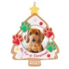 Hallmark My Fur-st Christmas 2023 Photo Frame Ornament 2 Hallmark My Fur-st Christmas 2023 Photo Frame Ornament -Stuffed Animals Shop Christmas Cookie Pet Picture Frame Keepsake Ornament 1599QGO2607 01