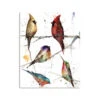 Demdaco Birds 120-Piece Puzzle -Stuffed Animals Shop Colorful Birds Jigsaw Puzzle in Canister 1004610122 01
