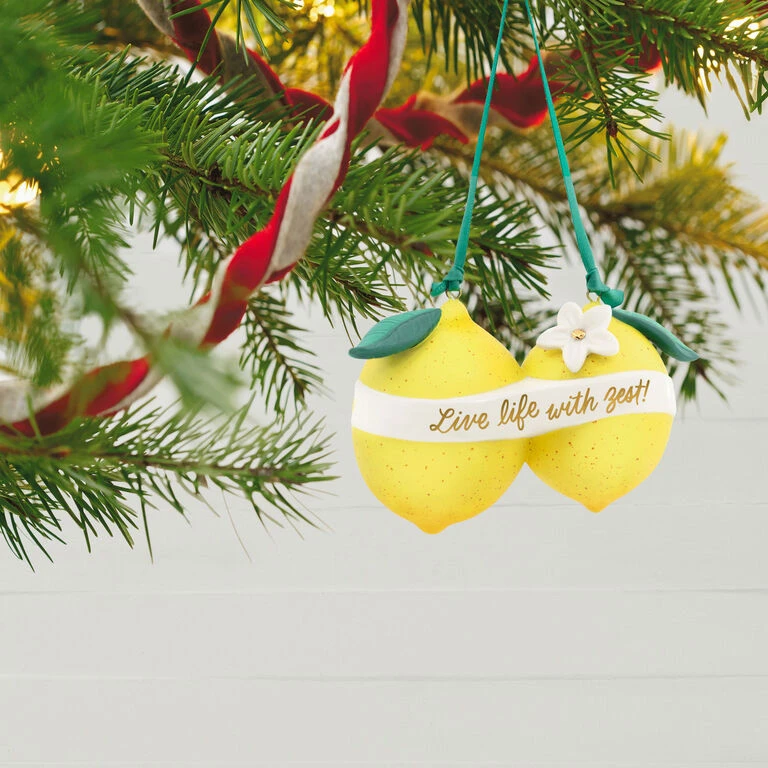 Hallmark Live Life With Zest! Porcelain Ornament 4 Hallmark Live Life With Zest! Porcelain Ornament - Image 2