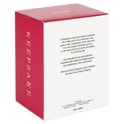 Hallmark Nickelodeon SpongeBob SquarePants Santa Ornament -Stuffed Animals Shop SpongeBob Santa Keepsake Ornament 1899QXI7367 05